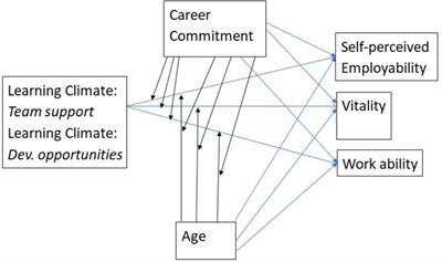 With a little help from my friends: adopting a P-E fit perspective in understanding the value of organizational learning climate for sustainable employability